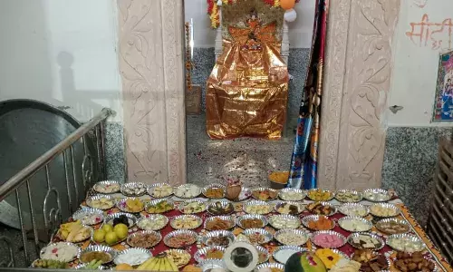 ठाकुर जी को छप्पन भोग लगाया..प्रसाद वितरित किया,झाकियां सजाई