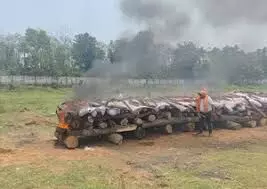 चित्तौड़गढ़ में 4.850 किलोग्राम अवैध अफीम और 0.188 किलोग्राम अवैध एमडी बरामद चित्तौड़गढ़ में 4.850 किलोग्राम अवैध अफीम और 0.188 किलोग्राम अवैध एमडी बरामद