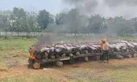 चित्तौड़गढ़ में 4.850 किलोग्राम अवैध अफीम और 0.188 किलोग्राम अवैध एमडी बरामद