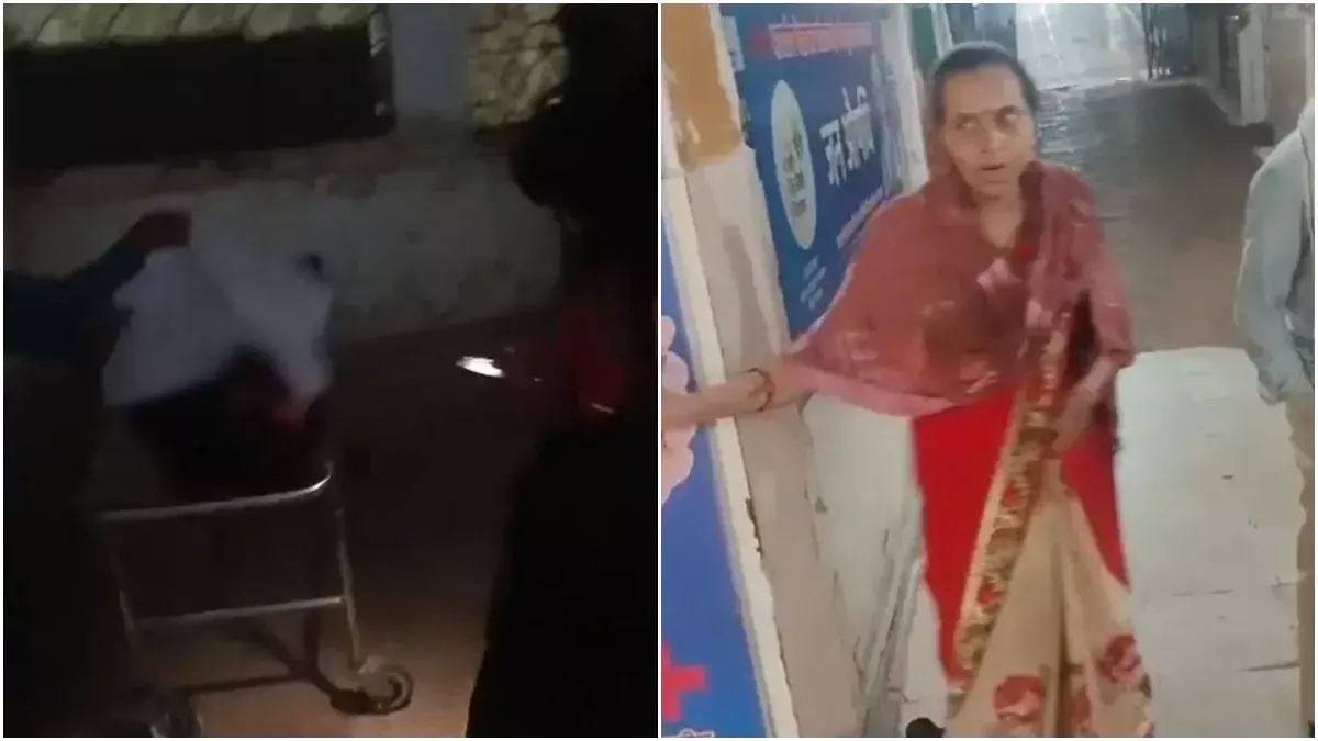पोस्टमार्टम के लिए रखे शव का गला ही खा गए कुत्ते