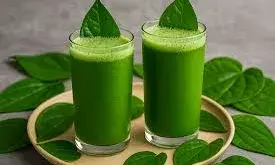 गर्मियों के मौसम में पान के पत्ते से बनाएं अलग-अलग तरह के ड्रिंक,  शरीर को मिलेगी ठंडक
