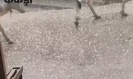 जयपुर समेत 8 जिलों में बारिश, अजमेर में ओले गिरे:सीकर में युवक की मौत; कल 21 शहरों में आंधी-बरसात का अलर्ट