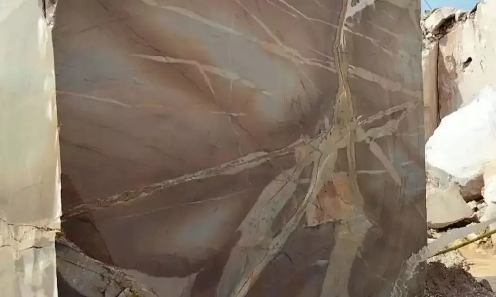 4 हेक्टेयर खनन पट्टा कौड़ियों के दाम बेटे के नाम करवाया