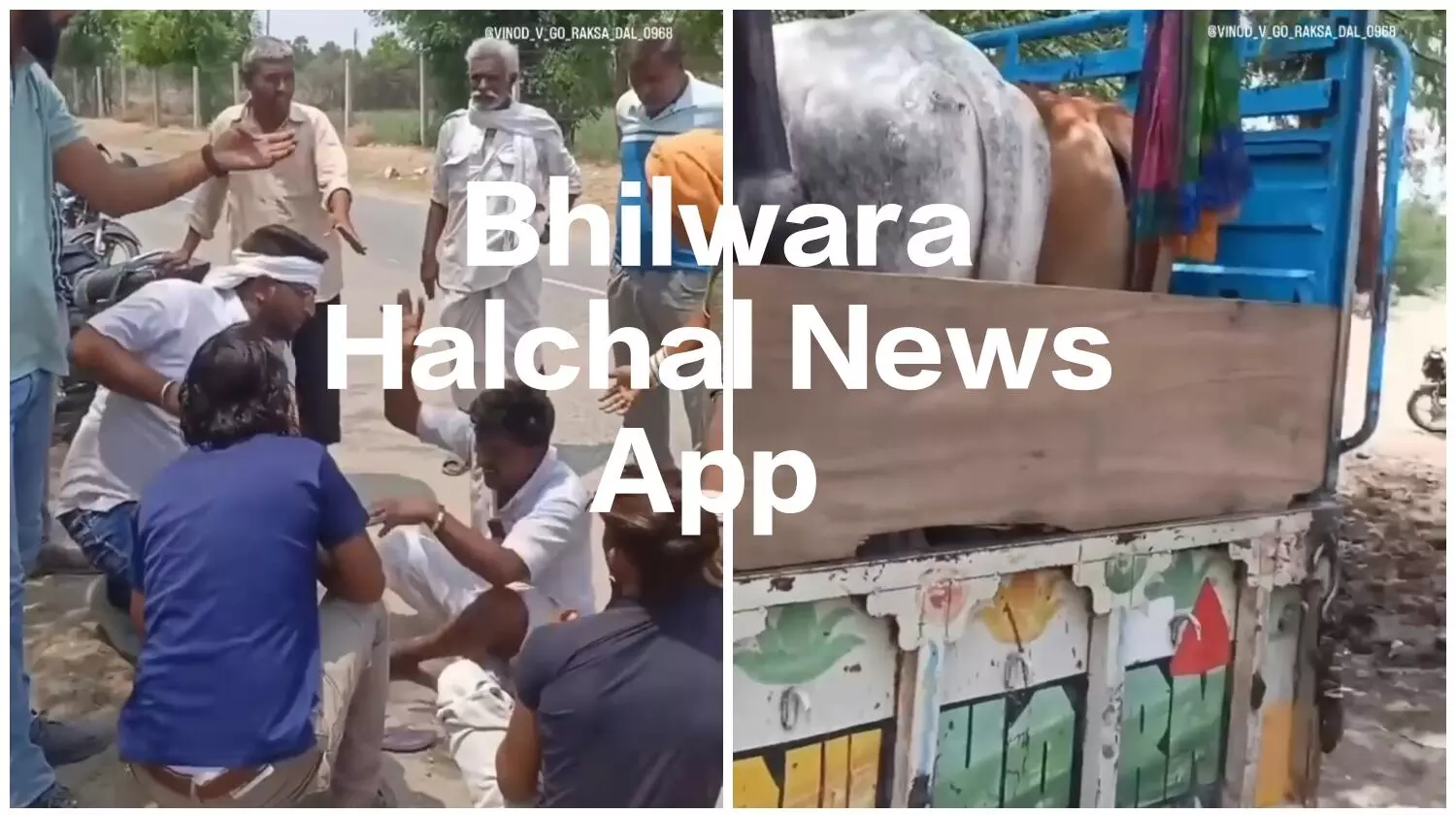 बैल खरीदकर लौट रहे दो भाइयों व मां के साथ पशु तस्करी के शक में मारपीट कर बनाया वीडियो, सोशल मीडिया पर किया वायरल, दस हजार रुपये छीने