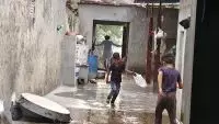 तेज हवा के साथ बारिश कई जगह गिरे पेड़ तेज हवा के साथ बारिश कई जगह गिरे पेड़