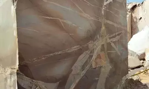 4 हेक्टेयर खनन पट्टा कौड़ियों के दाम बेटे के नाम करवाया