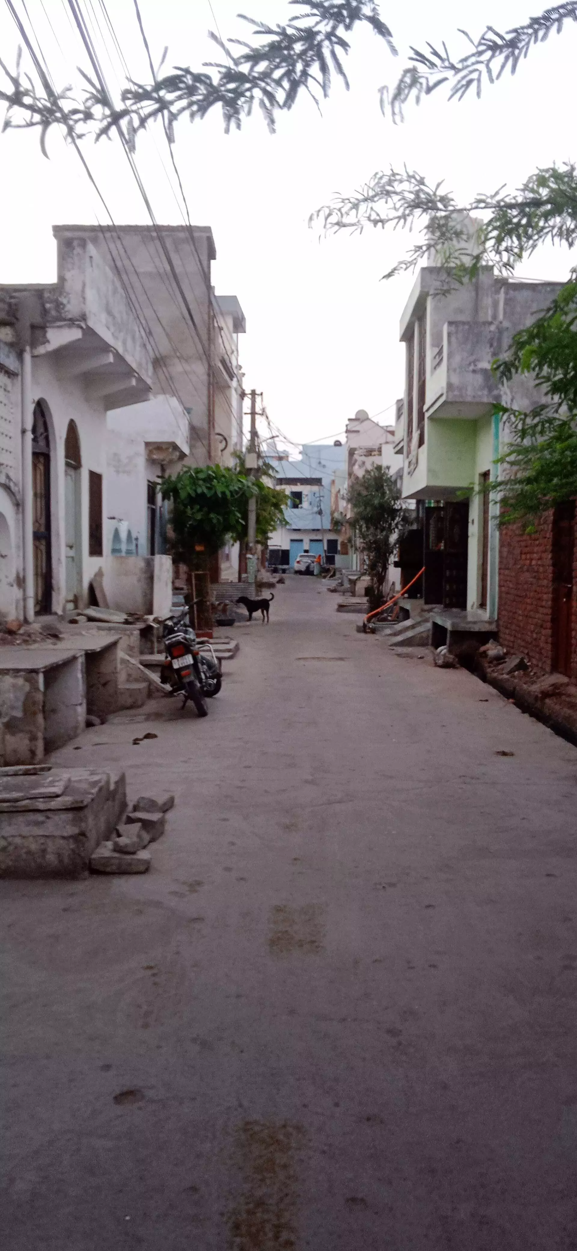 आदर्श नगर में गली नं. 16 में पानी का भीषण संकट आदर्श नगर में गली नं. 16 में पानी का भीषण संकट