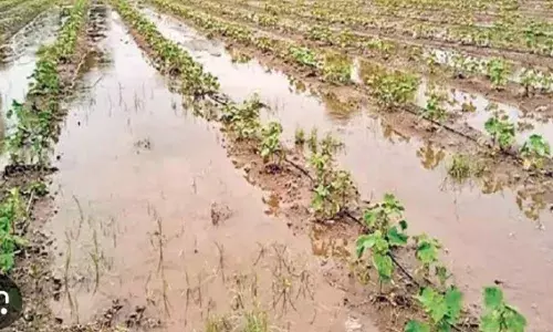 सहाड़ा क्षेत्र में तेज बारिश ,खेतों में पानी भरा, आंधीबसे टीन टप्पर उड़े , पेड़ गिरे सहाड़ा क्षेत्र में तेज बारिश ,खेतों में पानी भरा, आंधीबसे टीन टप्पर उड़े , पेड़ गिरे