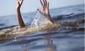 पानी की डिग्गी में मां एवं दो बच्चों के शव बरामद