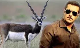 सलमान खान की हाईकोर्ट में होगी पेशी, सभी केसों पर एक साथ 28 जुलाई को होगी सुनवाई