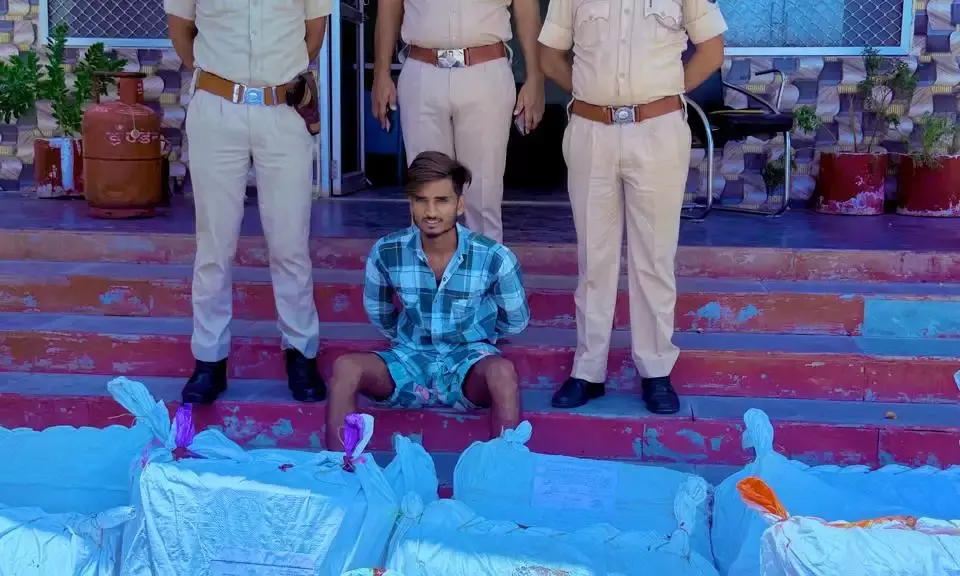 कोरियर लोडिंग टेंपो से 172.310 किलोग्राम अवैध डोडा चुरा बरामद ,, एक तस्कर ,गिरफ्तार कोरियर लोडिंग टेंपो से 172.310 किलोग्राम अवैध डोडा चुरा बरामद ,, एक तस्कर ,गिरफ्तार