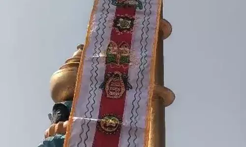 सुवाणा स्थित मुलनायक पाश्र्वनाथ मंदिर पर चढाई धर्मध्वजा सुवाणा स्थित मुलनायक पाश्र्वनाथ मंदिर पर चढाई धर्मध्वजा