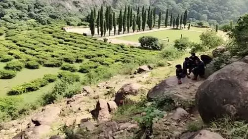 चित्तौड़गढ़ का ये गिरोह साउथ फिल्म ‘थीरन’ की तर्ज पर करते थे वारदातें चित्तौड़गढ़ का ये गिरोह साउथ फिल्म ‘थीरन’ की तर्ज पर करते थे वारदातें