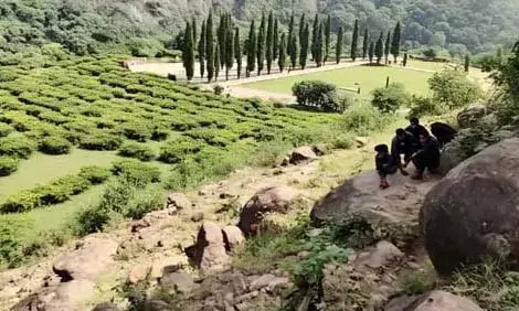 चित्तौड़गढ़ का ये गिरोह साउथ फिल्म ‘थीरन’ की तर्ज पर करते थे वारदातें