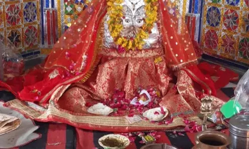 मंदिर शिखर पर कलश स्थापना व सामूहिक विवाह सम्मेलन धानेश्वर में