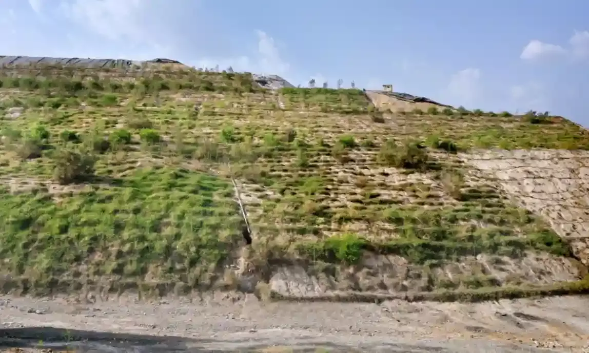 हरित विकास का उदाहरण है चंदेरिया लेड जिं़क स्मेल्टर में 16 हेक्टर वेस्ट लेण्ड पर विकसित ग्रीन बेल्ट