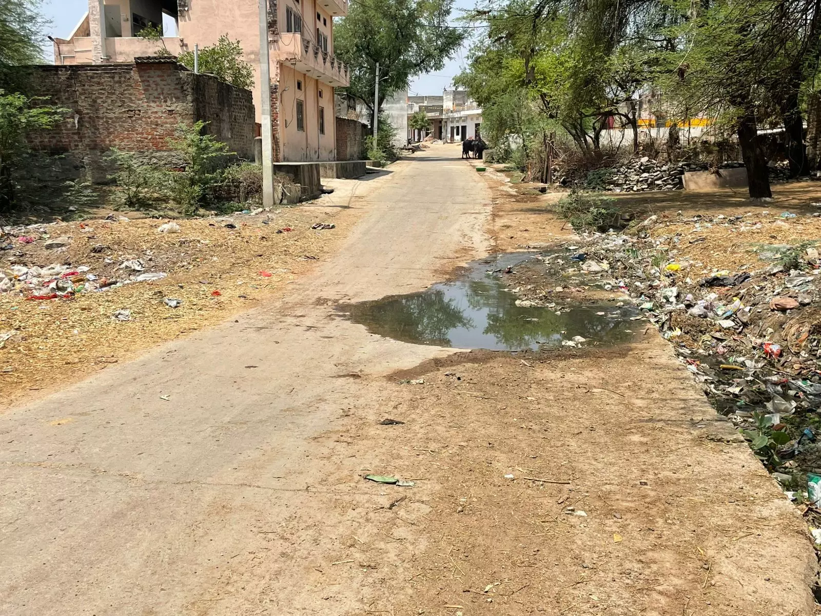 सड़क किनारे लगे गंदगी के ढेर, कागजों में चल रही सफाई सड़क किनारे लगे गंदगी के ढेर, कागजों में चल रही सफाई