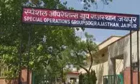 शिक्षा विभाग में 297 सरकारी सेवकों पर लटकी तलवार! SOG को सौंपी गई संदिग्धों की फाइल..