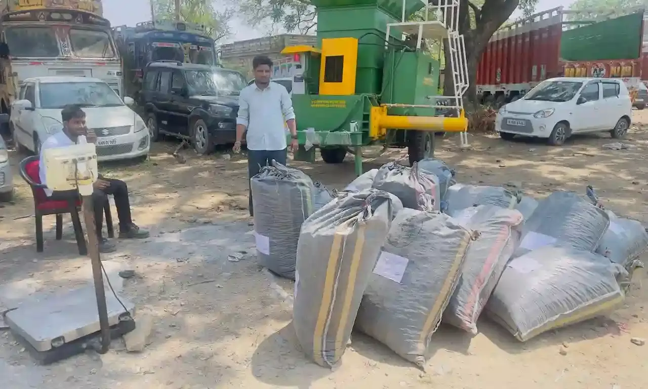 सी.बी.एन. ने 311 किलो डोडा चूरा किया जब्त