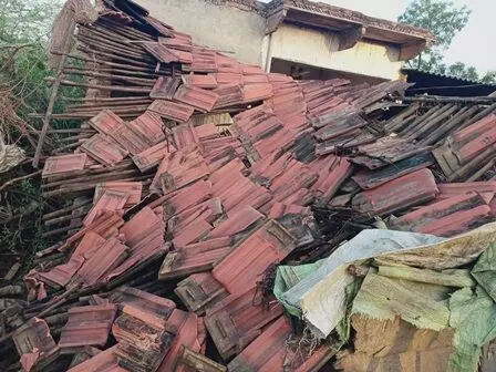 पीपली क्षेत्र में तेज आंधी तूफान व बारिश के आने से किसानों को नुक्सान पीपली क्षेत्र में तेज आंधी तूफान व बारिश के आने से किसानों को नुक्सान