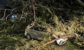 50 की मौत, बिजली आपूर्ति प्रभावित