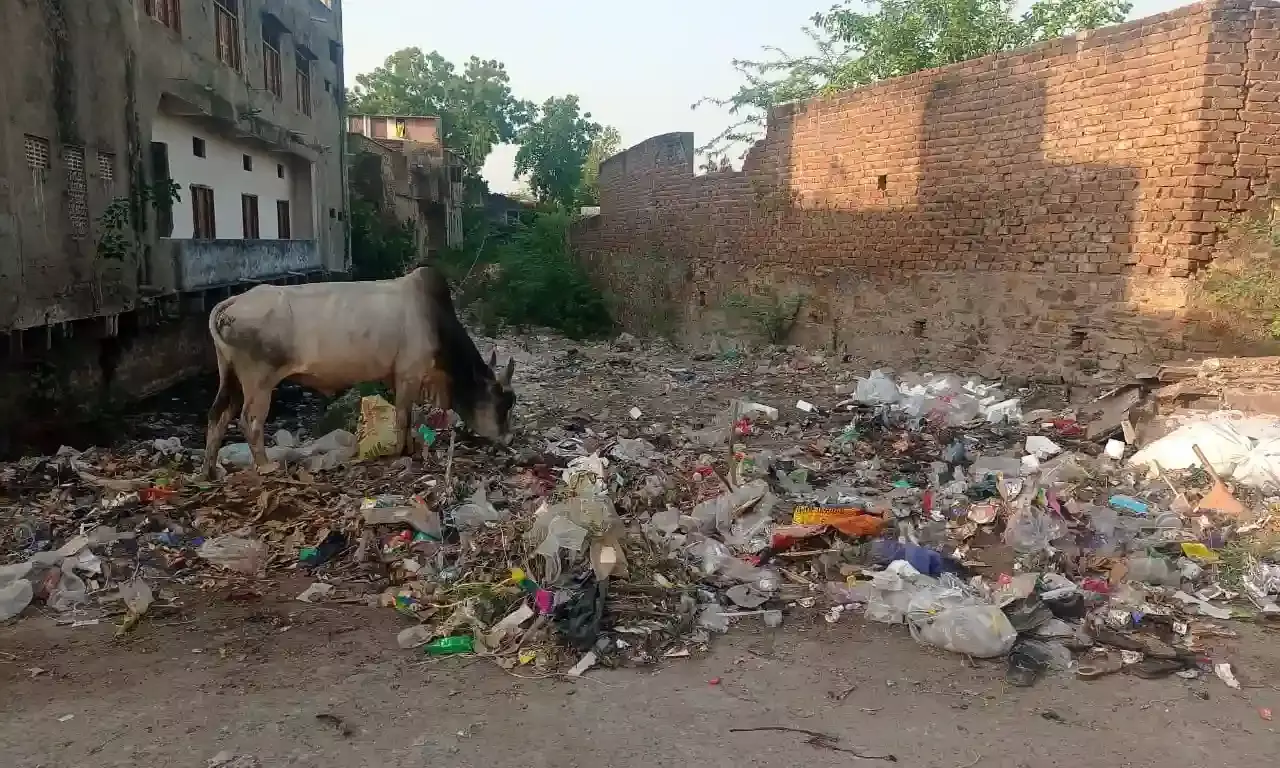 धर्मस्थल के पास फैली गंदगी: शहर की स्वच्छता पर प्रश्नचिह्न