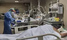 आठ नए मामले सामने आए; ठाणे में अस्पताल अलर्ट मोड पर