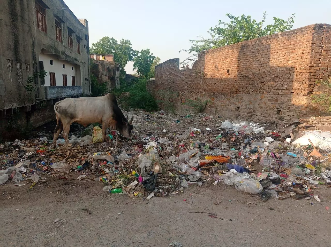 धर्मस्थल के पास फैली गंदगी: शहर की स्वच्छता पर प्रश्नचिह्न धर्मस्थल के पास फैली गंदगी: शहर की स्वच्छता पर प्रश्नचिह्न