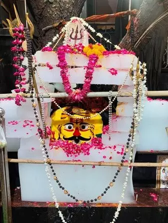 2100 किलो बर्फ से बाबा मसानिया भैरुनाथ का किया विशेष श्रृंगार 2100 किलो बर्फ से बाबा मसानिया भैरुनाथ का किया विशेष श्रृंगार