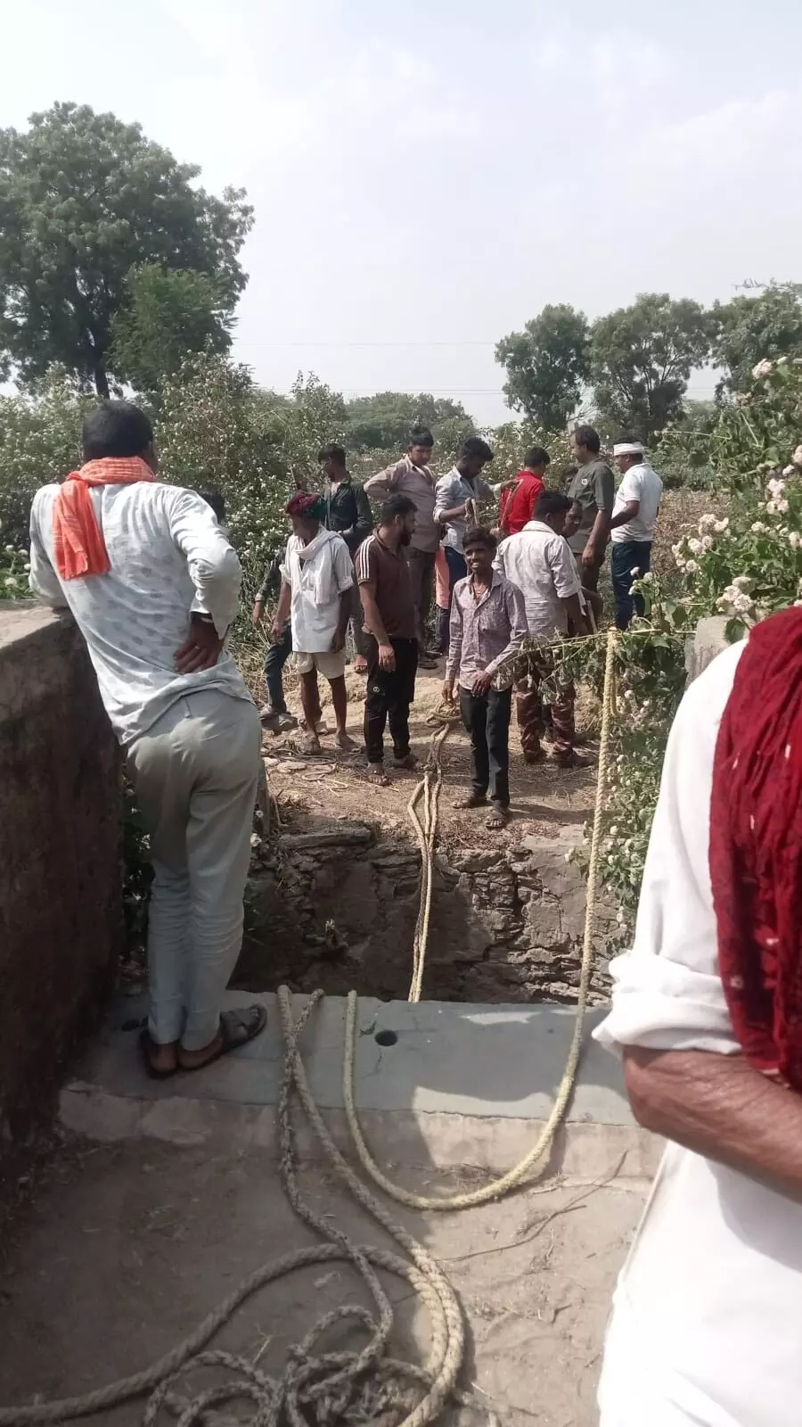 80 फीट गहरे कुएं से सुरक्षित बाहर निकाला नंदी को 80 फीट गहरे कुएं से सुरक्षित बाहर निकाला नंदी को