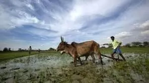 विकसित कृषि संकल्प अभियान कल से
