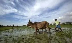 विकसित कृषि संकल्प अभियान कल से