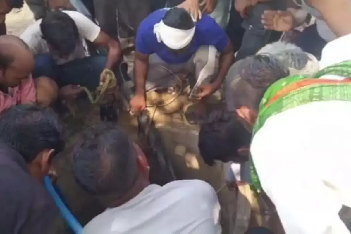 भरतपुर में दर्दनाक हादसा: कुएं में जहरीली गैस से पिता-पुत्र की मौत भरतपुर में दर्दनाक हादसा: कुएं में जहरीली गैस से पिता-पुत्र की मौत