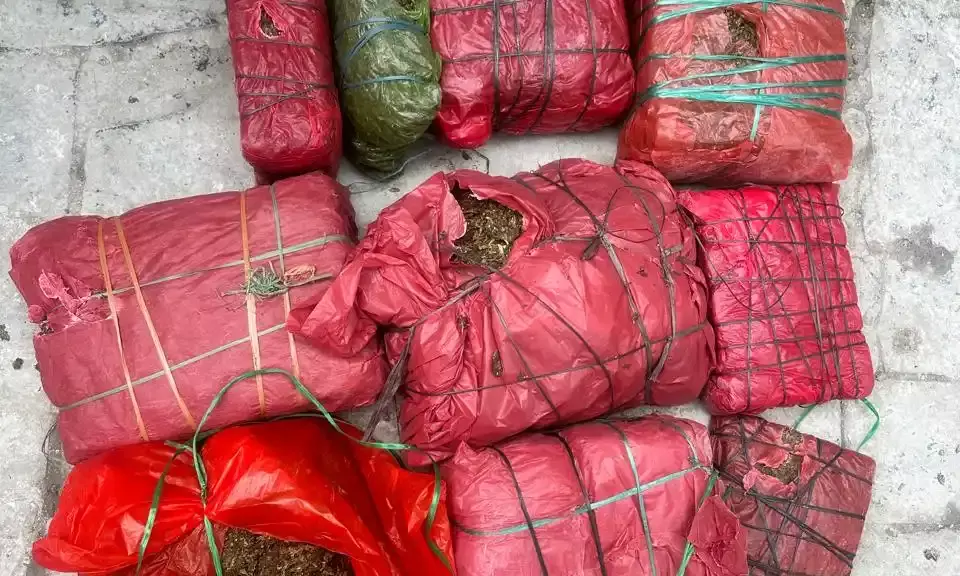 चंदेरिया स्थित आदित्य केमिकल्स गोदाम के परिसर में बने एक कमरे में छापा मारकर 48.890 किलोग्राम अवैध गांजा बरामद, दो गिरफ्तार चंदेरिया स्थित आदित्य केमिकल्स गोदाम के परिसर में बने एक कमरे में छापा मारकर 48.890 किलोग्राम अवैध गांजा बरामद, दो गिरफ्तार