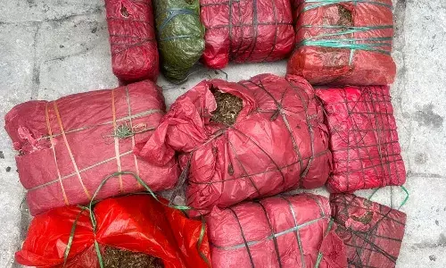 चंदेरिया स्थित आदित्य केमिकल्स गोदाम के परिसर में बने एक कमरे में छापा मारकर 48.890 किलोग्राम अवैध गांजा बरामद, दो गिरफ्तार