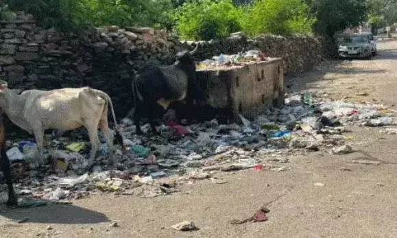बिजौलिया में 18 दिन से सफाई कर्मचारियों की हड़ताल, ईओ पर आरोप