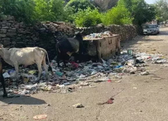 बिजौलिया में 18 दिन से सफाई कर्मचारियों की हड़ताल, ईओ पर आरोप