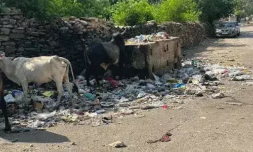 बिजौलिया में 18 दिन से सफाई कर्मचारियों की हड़ताल, ईओ पर आरोप