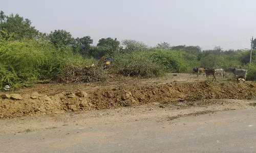 अतिक्रमण मुक्त हुआ जोर का खेड़ा विद्यालय खेल मैदान