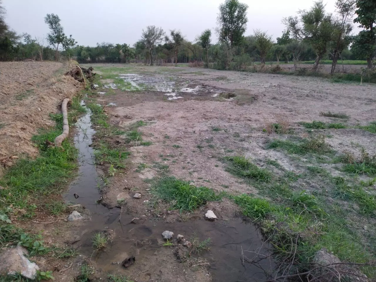 किशनगढ़ में चंबल परियोजना की पाइपलाइन में लीकेज, खेत में भरा पानी, किसान परेशान किशनगढ़ में चंबल परियोजना की पाइपलाइन में लीकेज, खेत में भरा पानी, किसान परेशान