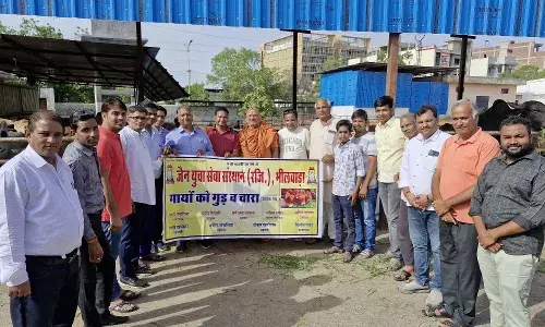 जैन युवा सेवा संस्थान द्वारा निरंतर जारी गौ सेवा कार्यक्रम
