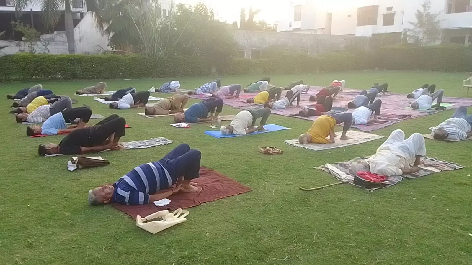 आंतरिक शांति एवं बेहतर स्वास्थ्य के लिए ध्यान आवश्यक - डॉ दशोरा