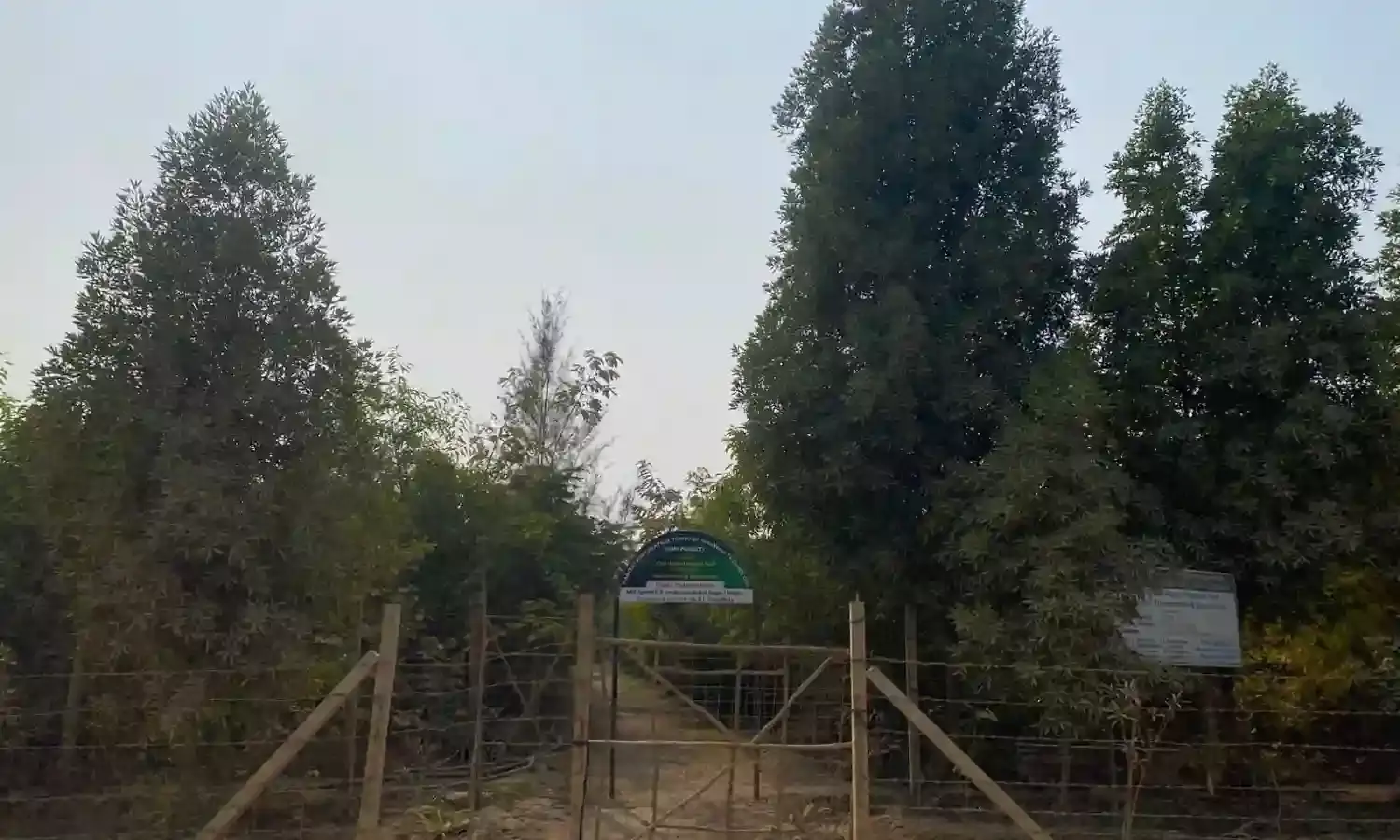 चंदेरिया लेड जिंक स्मेल्टर में मियावाकी मिनी फॉरेस्ट है पर्यावरण संरक्षण के लिए नया कदम