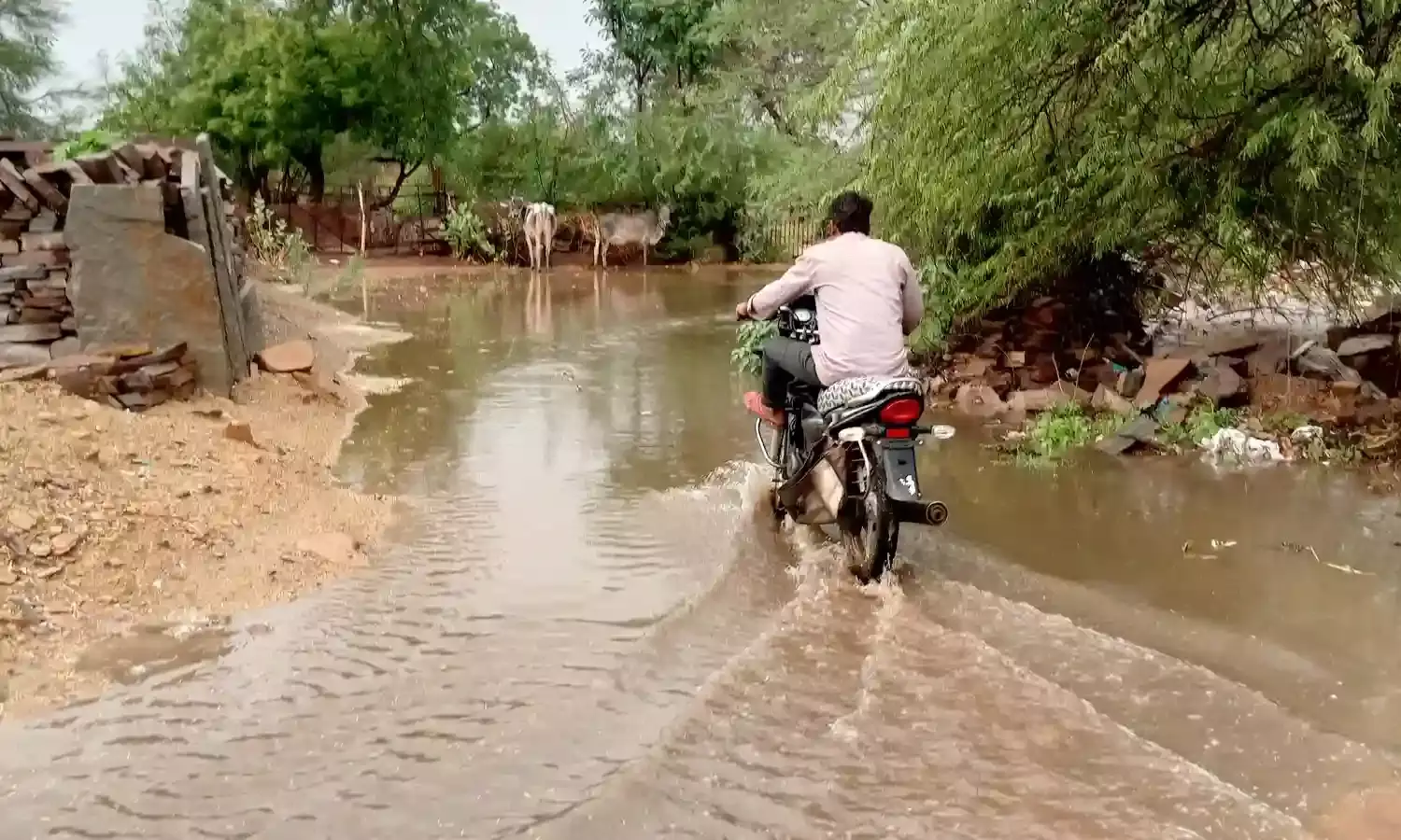 लाडपुरा में बारिश ने खोली समुचित सफाई के दावों की पोल,क्षतिग्रस्त नाली से ग्रामीण परेशान