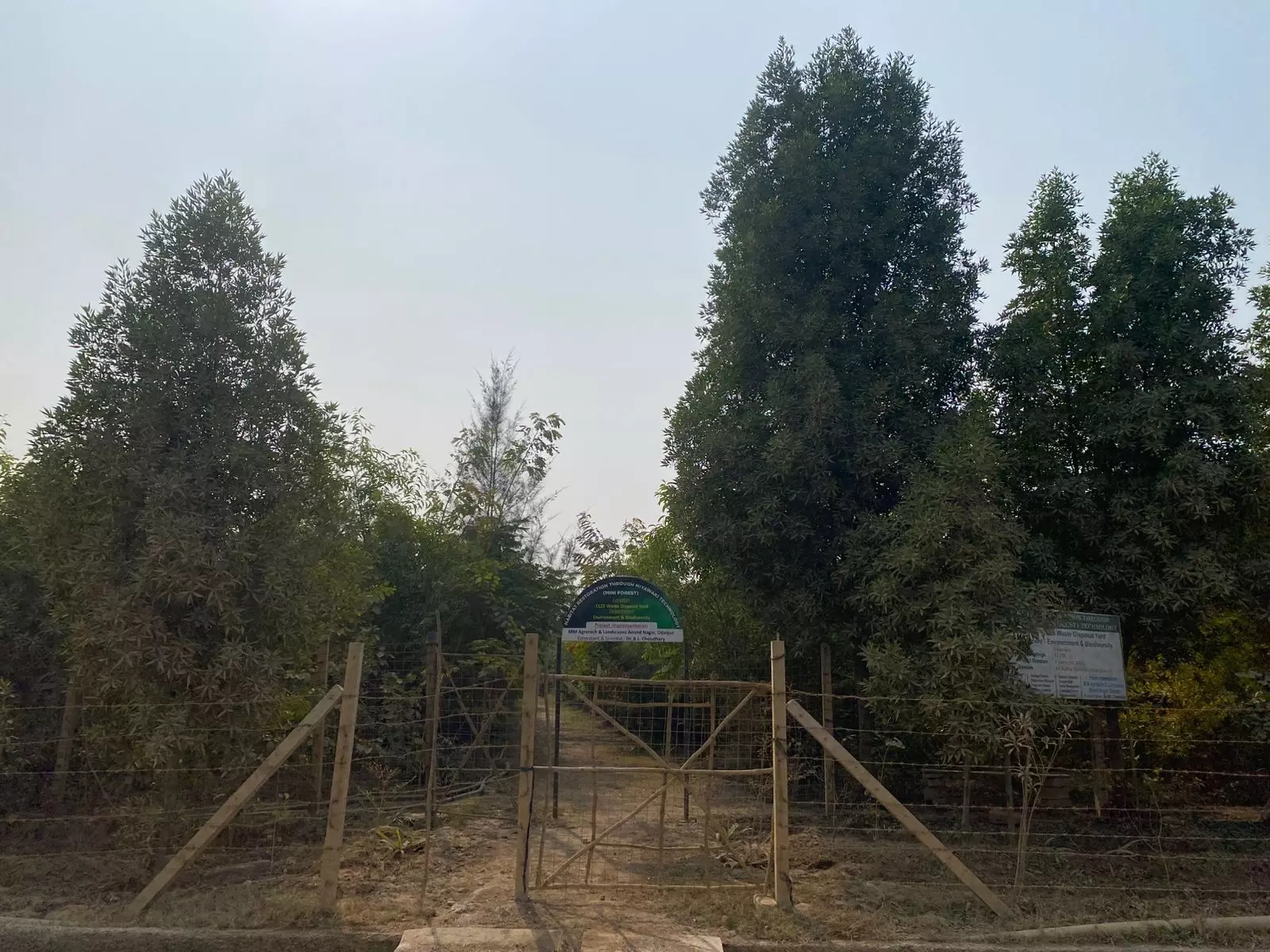 चंदेरिया लेड जिंक स्मेल्टर में मियावाकी मिनी फॉरेस्ट है पर्यावरण संरक्षण के लिए नया कदम