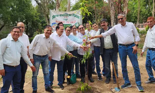 विश्वा पर्यावरण दिवस पर किया  वृक्षारोपण