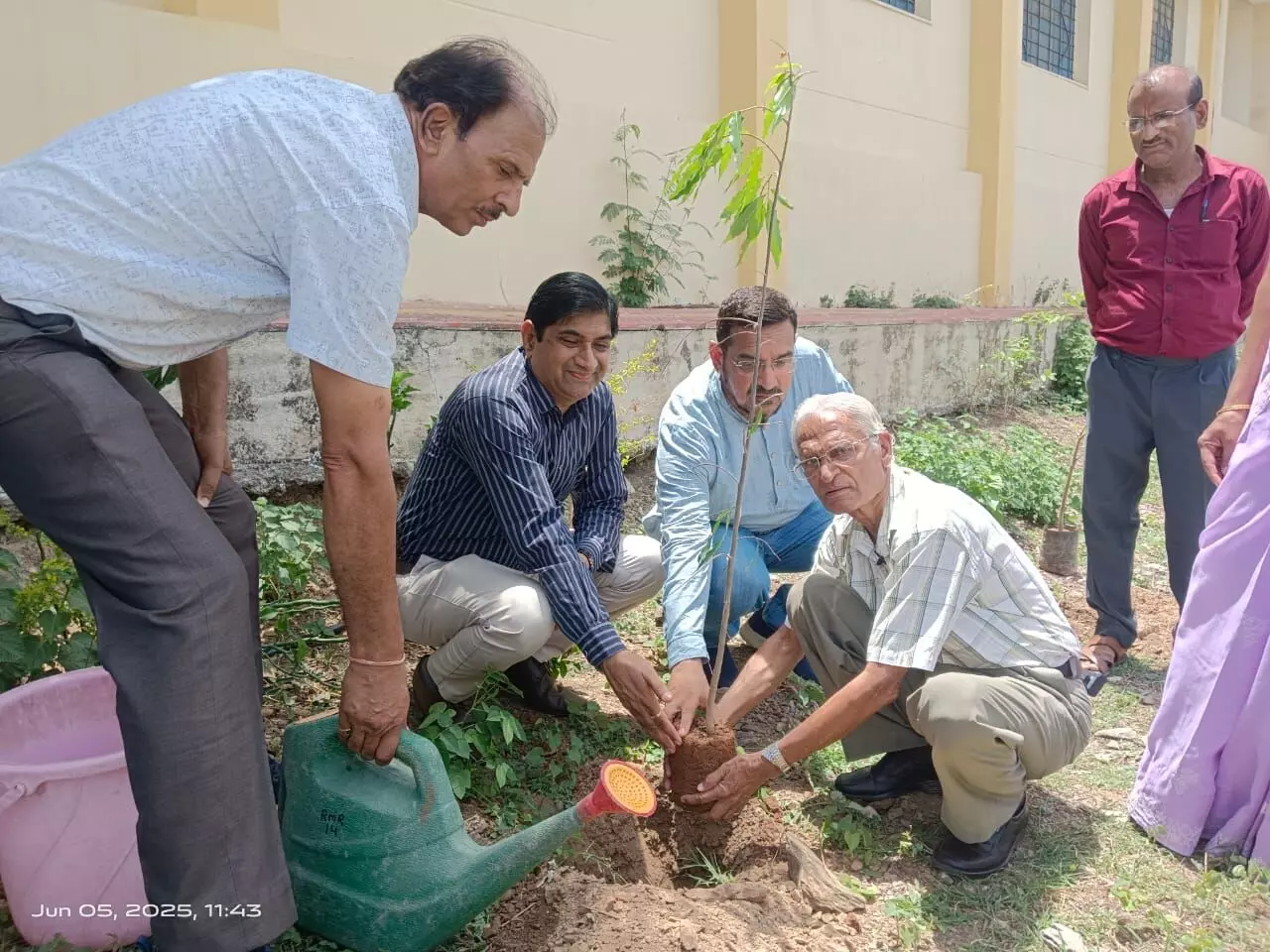 राजकीय पॉलिटेक्निक कॉलेज में पौधरोपण, संगोष्ठी राजकीय पॉलिटेक्निक कॉलेज में पौधरोपण, संगोष्ठी