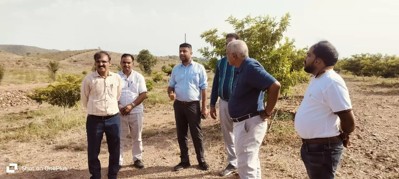 जिला कलक्टर ने किया उद्यानिकी गतिविधियों का निरीक्षण जिला कलक्टर ने किया उद्यानिकी गतिविधियों का निरीक्षण