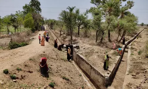 चित्तौड़गढ़ में वंदे गंगा अभियान: जल स्रोतों और बिजली ट्रांसफार्मरों की सफाई से जगाई जागरूकता