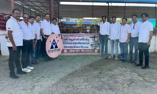 सेवा ग्रुप द्वारा जीव दया के तहत णमोकार मंत्र का पाठ व गौ सेवा का आयोजन